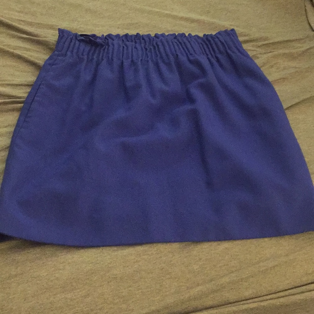 Blue J. Crew skirt